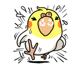 Lutino cockatiels sticker #1551327