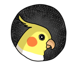 Lutino cockatiels sticker #1551328