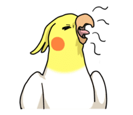 Lutino cockatiels sticker #1551329