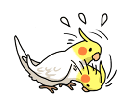 Lutino cockatiels sticker #1551330