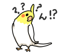 Lutino cockatiels sticker #1551332