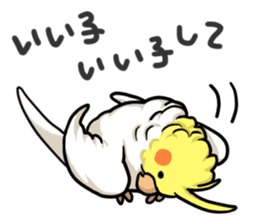 Lutino cockatiels sticker #1551334