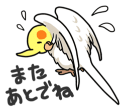 Lutino cockatiels sticker #1551335