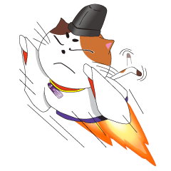 Court noble cat NYANMARO 2