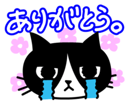 TSUYOKIN of cool cat sticker #1554057