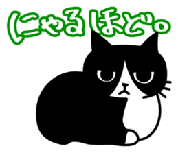 TSUYOKIN of cool cat sticker #1554058