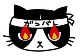 TSUYOKIN of cool cat sticker #1554075