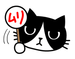 TSUYOKIN of cool cat sticker #1554084