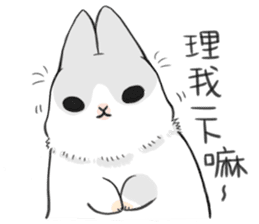 Machiko rabbit sticker #1556297