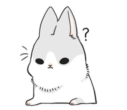 Machiko rabbit sticker #1556307