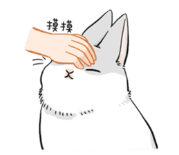 Machiko rabbit sticker #1556325