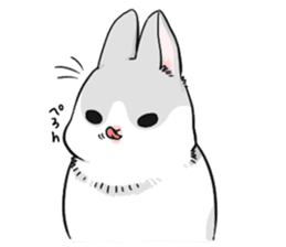 Machiko rabbit sticker #1556327