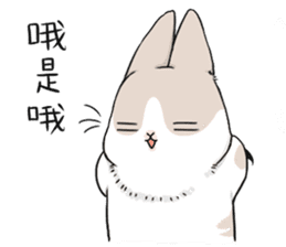 Machiko rabbit sticker #1556335