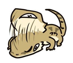 Bearded dragon and iguana sticker #1556514