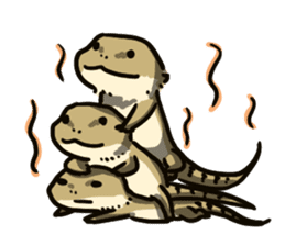 Bearded dragon and iguana sticker #1556520