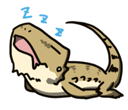 Bearded dragon and iguana sticker #1556525