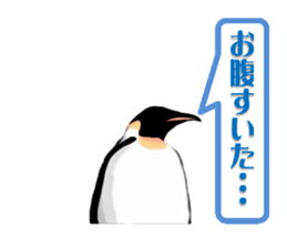 Feelings of Penguin sticker #1558062