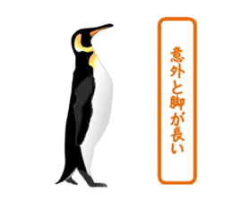 Feelings of Penguin sticker #1558083