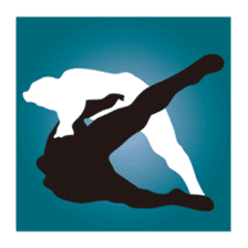 Everyday of sumo wrestlers sticker #1558248