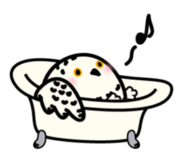 Snowy Owl and Barn Owl 2 sticker #1558737