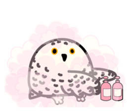 Snowy Owl and Barn Owl 2 sticker #1558740