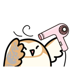 Snowy Owl and Barn Owl 2 sticker #1558744