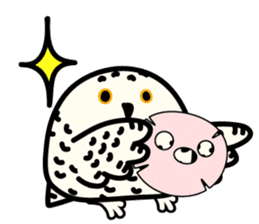 Snowy Owl and Barn Owl 2 sticker #1558746