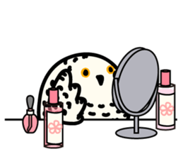 Snowy Owl and Barn Owl 2 sticker #1558749