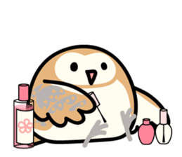Snowy Owl and Barn Owl 2 sticker #1558760
