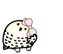 Snowy Owl and Barn Owl 2 sticker #1558766