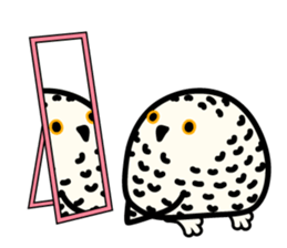 Snowy Owl and Barn Owl 2 sticker #1558769
