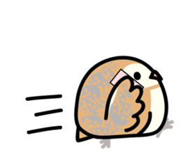 Snowy Owl and Barn Owl 2 sticker #1558773