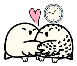 Snowy Owl and Barn Owl 2 sticker #1558774