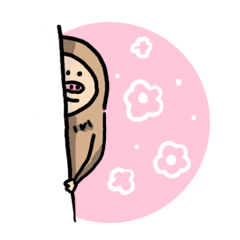 daily life of a sloth