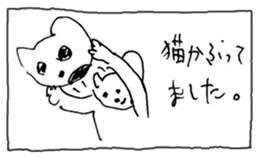 The interlude of the cat named RIN 11 sticker #1560353