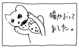 The interlude of the cat named RIN 11 sticker #1560353