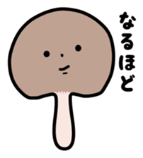 Shiitake Mushroom. sticker #1560505