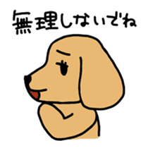 cute japanese wanko sticker #1561580
