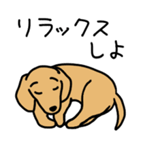 cute japanese wanko sticker #1561613