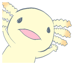 Ambystoma mexicanum family. sticker #1562300