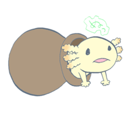 Ambystoma mexicanum family. sticker #1562303