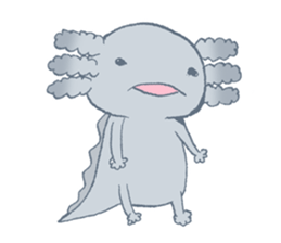 Ambystoma mexicanum family. sticker #1562307