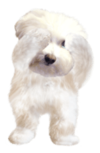 Little Iron X Smile Dog 2 sticker #1563321