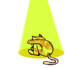 Camouflage cat and black cat sticker #1563844