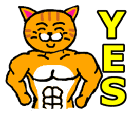 muscle cat revolution English Ver sticker #1564178