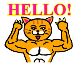muscle cat revolution English Ver sticker #1564179