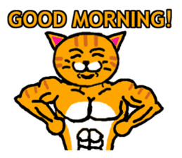 muscle cat revolution English Ver sticker #1564180