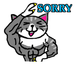 muscle cat revolution English Ver sticker #1564185