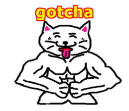 muscle cat revolution English Ver sticker #1564209