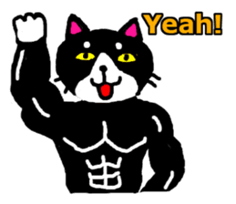 muscle cat revolution English Ver sticker #1564211